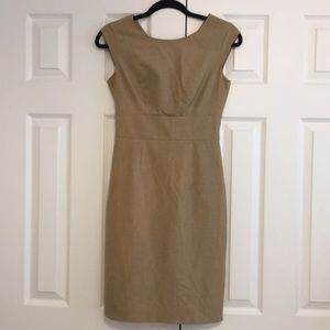 The Limited business dress size